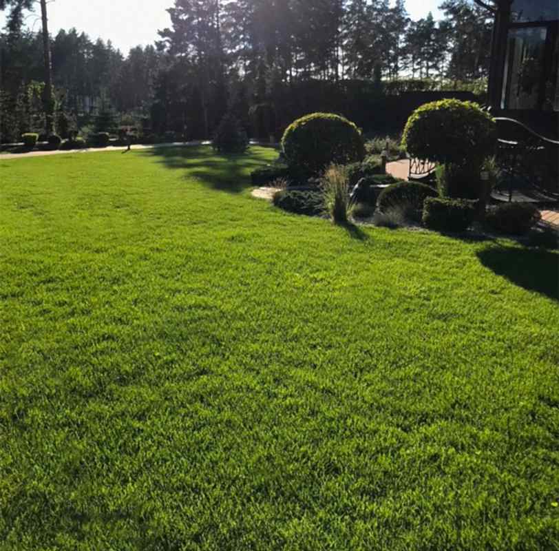 Greenplot Landshaftnyj Dizajn Voronezh