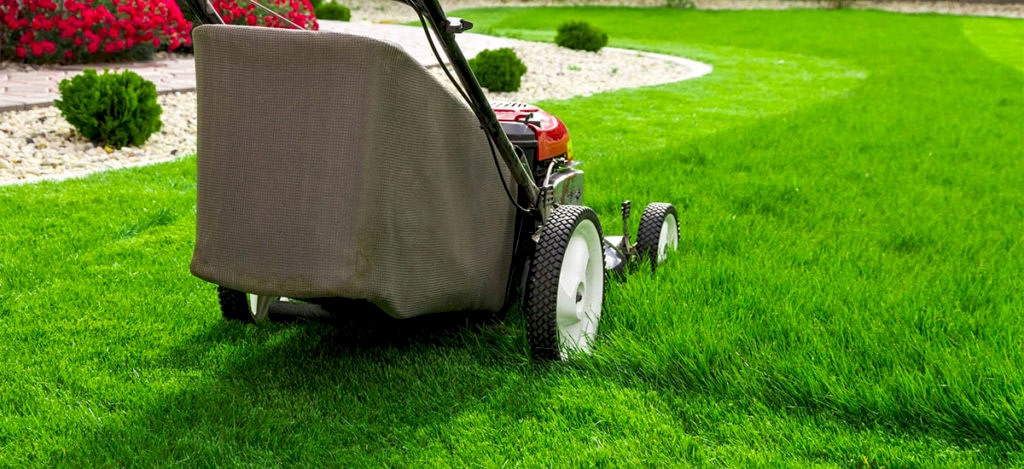 Kak Uhazhivat Za Rulonnym Gazonom 1024x469