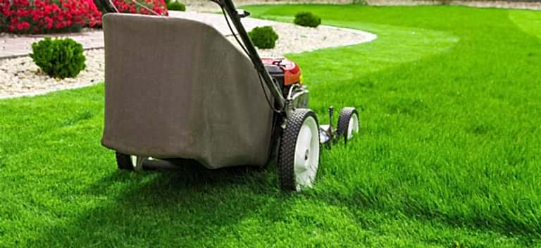 Kak Uhazhivat Za Rulonnym Gazonom 768x352